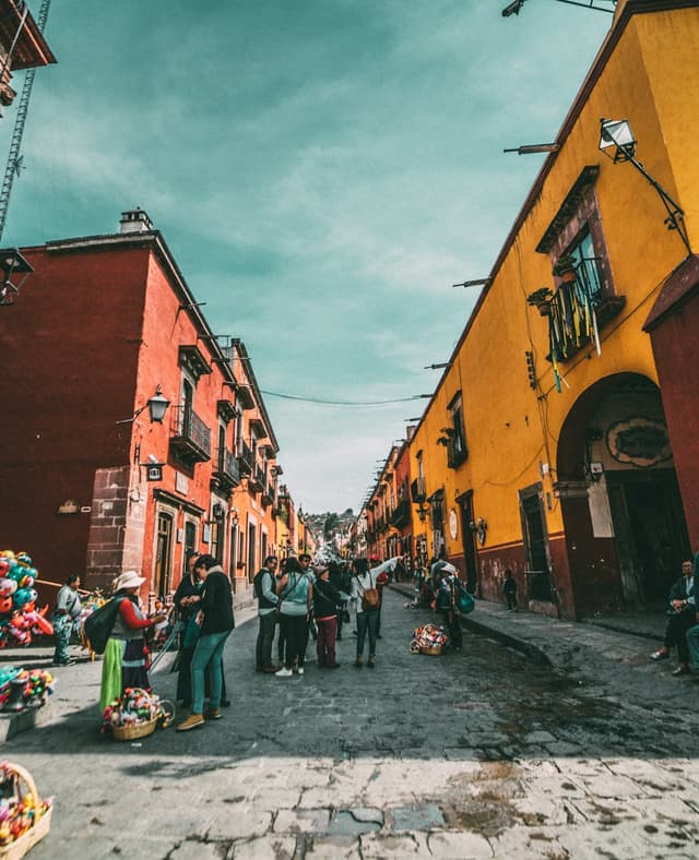 Vista previa de la app móvil